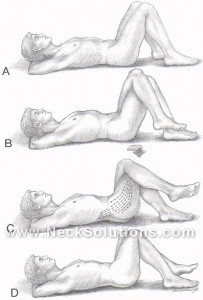 qlstretch